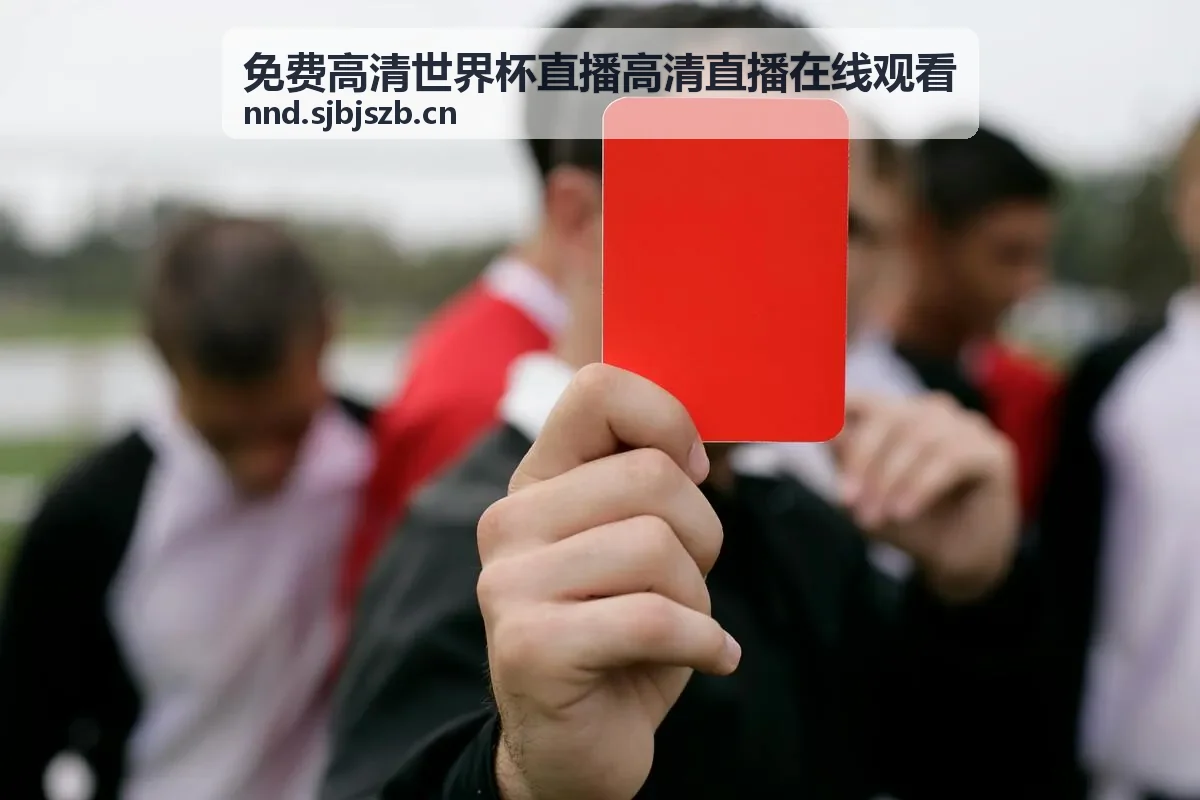 免费高清世界杯直播高清直播在线观看 - 赛场实时画面