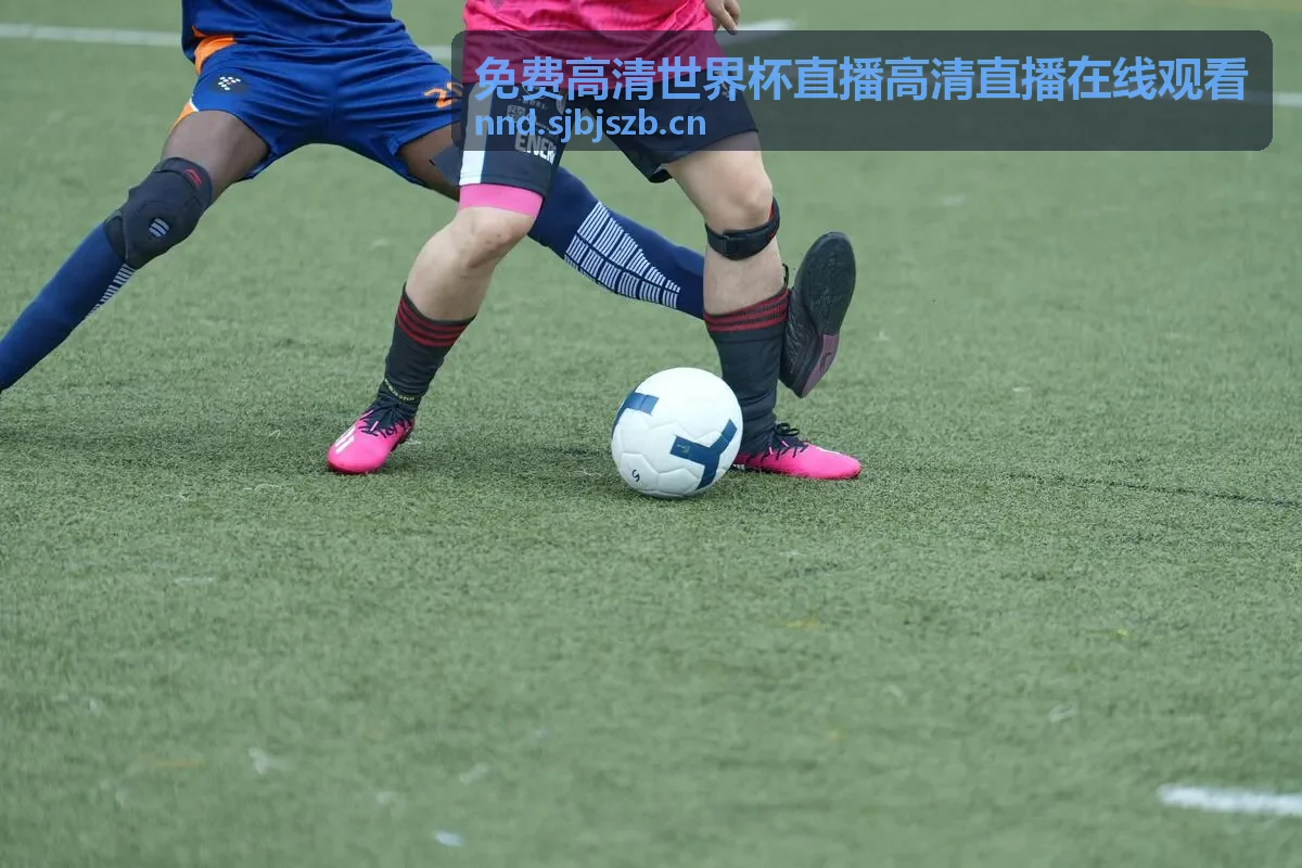 免费高清世界杯直播高清直播在线观看 - 球星风采